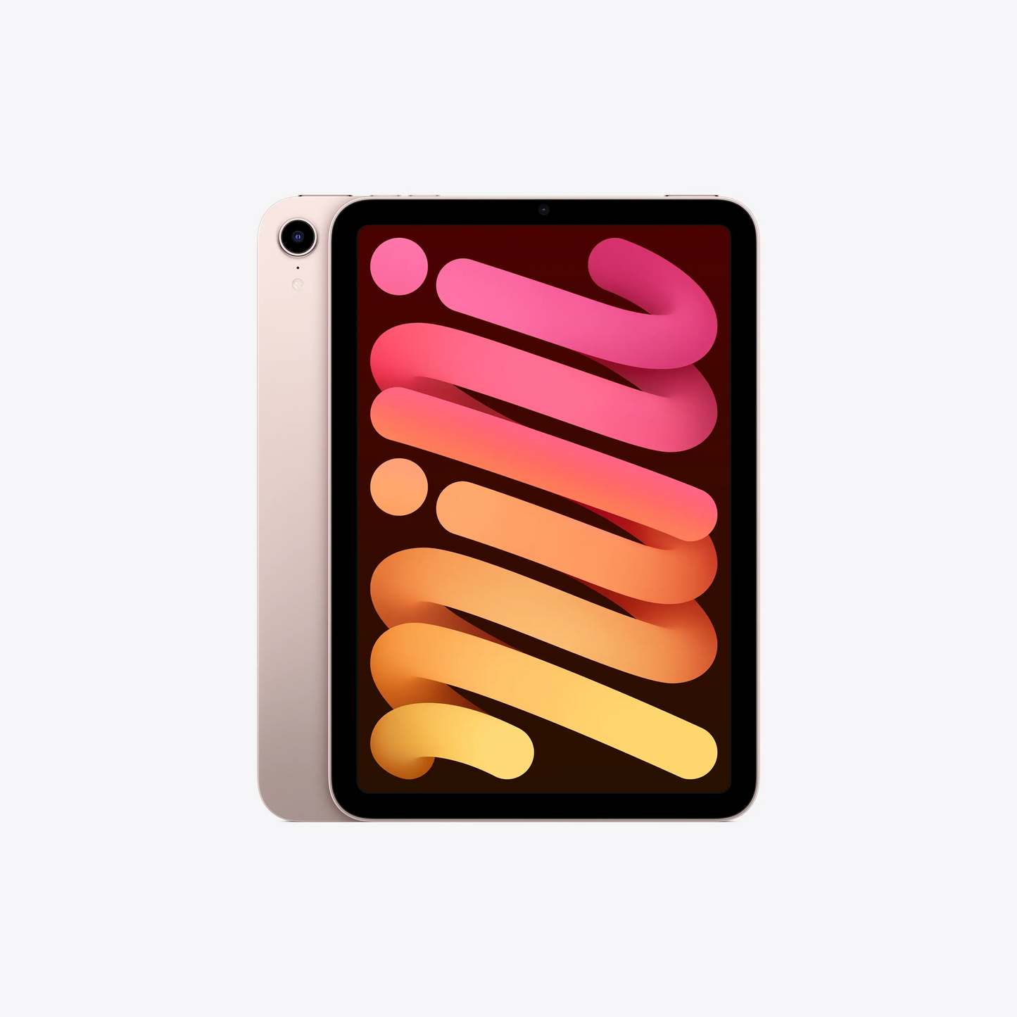 iPad Mini