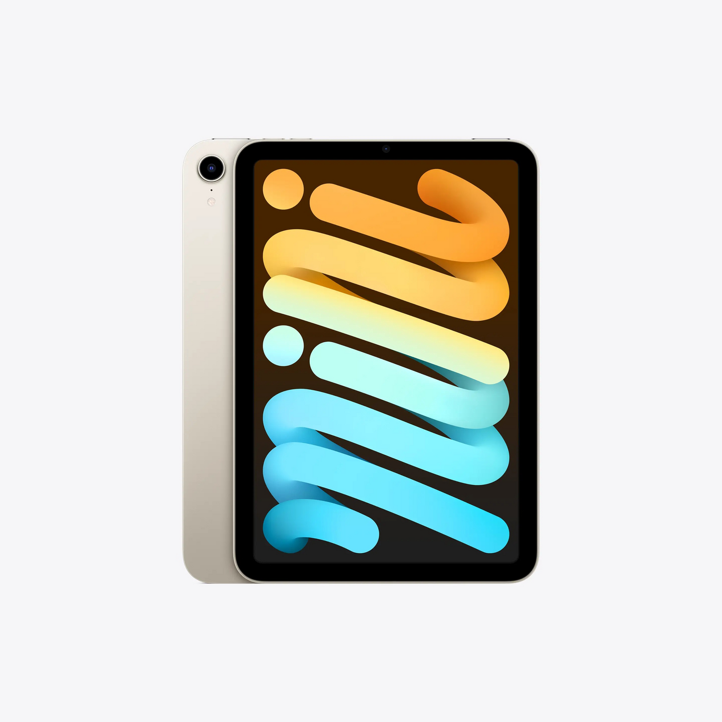 iPad Mini